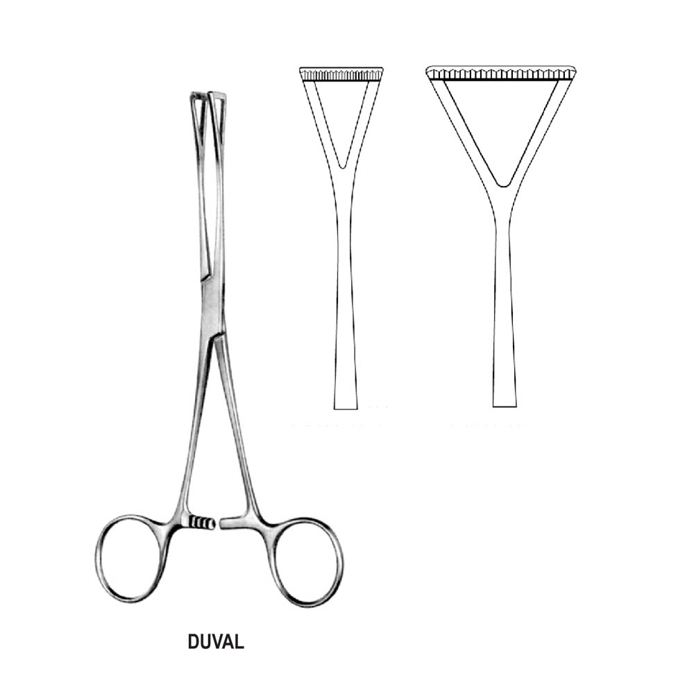 TISSUE AND INTESTINAL DUVAL FORCEPS T.C  18.0cm